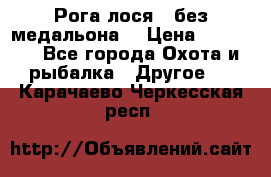 Рога лося , без медальона. › Цена ­ 15 000 - Все города Охота и рыбалка » Другое   . Карачаево-Черкесская респ.
